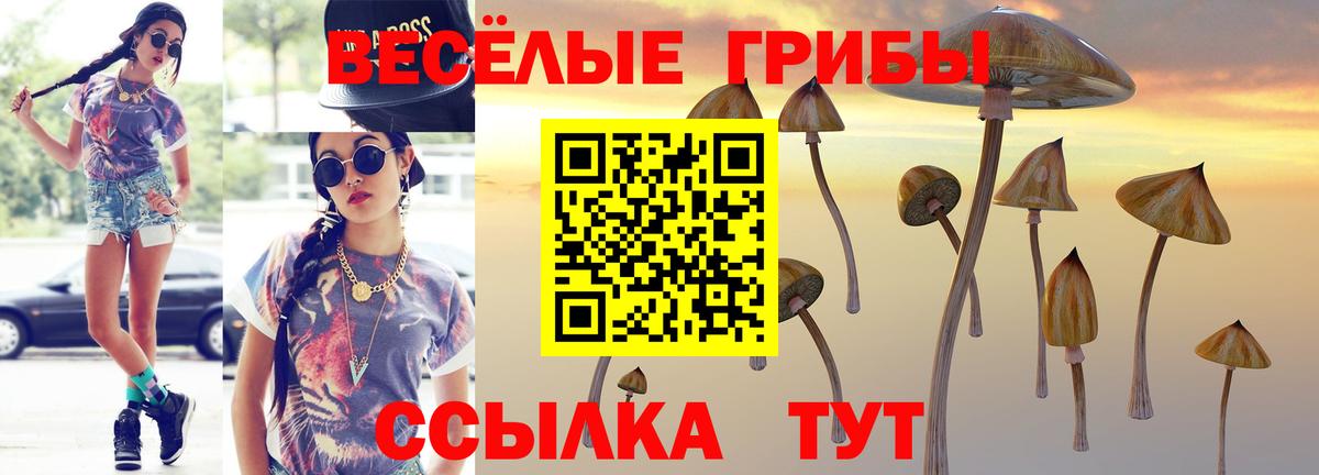 Псилоцибиновые грибы прущие грибы  Вход с VPN  Галлюциногенные грибы Psilocybe  где найти   Россия 